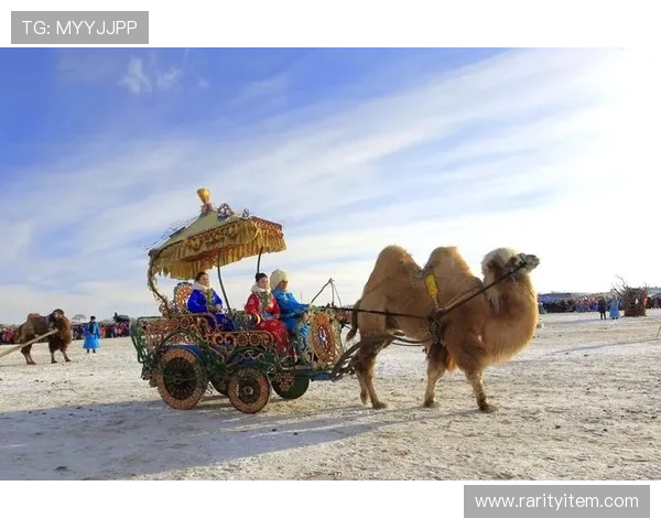 《斗牛》：当悲怆的命运遇上野性的生命，一场震撼灵魂的草原史诗