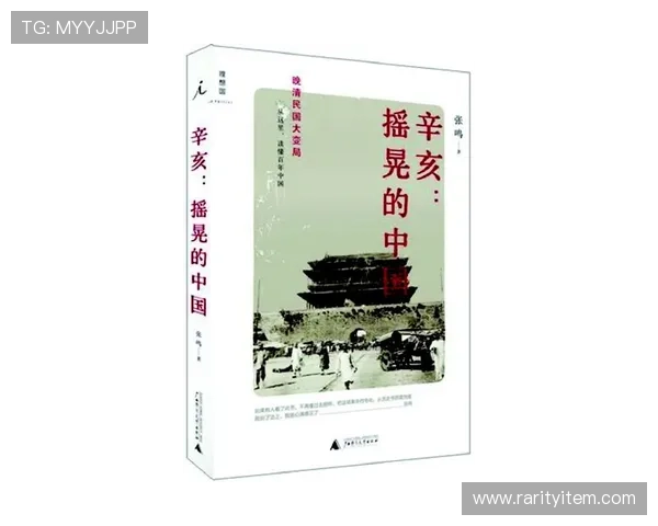 大辛亥：百年回响，时代新章