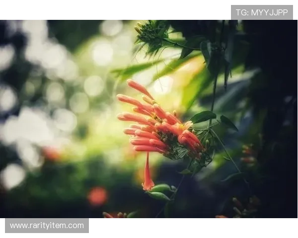 成年人的世界，一半是烟火，一半是诗意